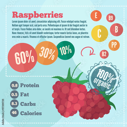 Raspberry infographics in flat style. Vector illustration with vitamins, protein, fat, carbs and calories of organic food.