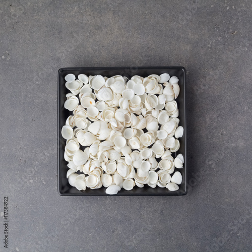 Creative arrangement of sea shells. Flat lay. Top view