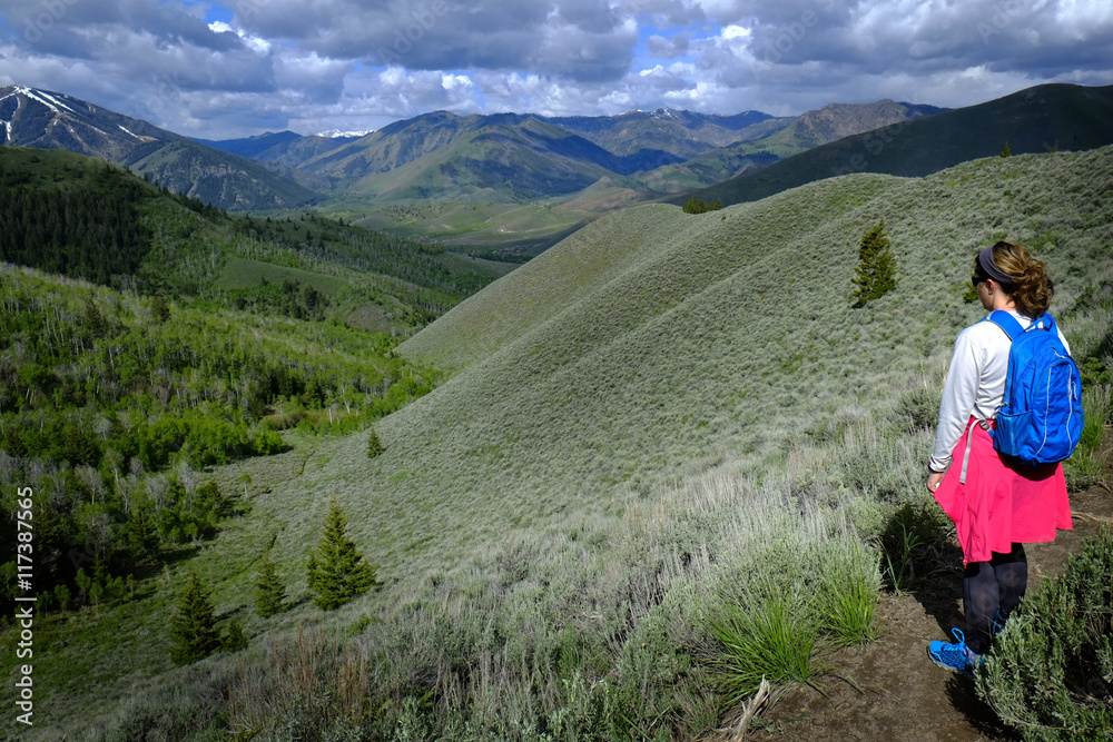 Fit Woman Hiking in Mountains Wilderness Fit Woman Hiking in Mountains Wilderness