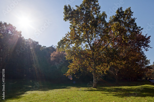 Autumn time in the park