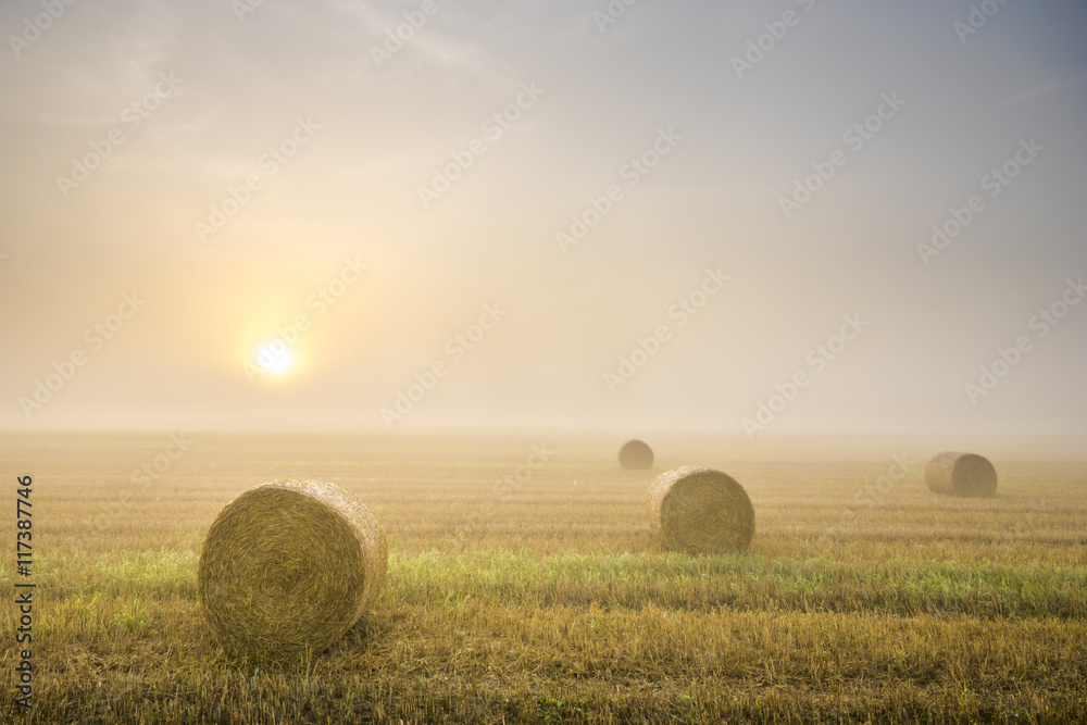 Wschód słońca w mglisty poranek nad polem po żniwach,snopki słomy na ściernisku