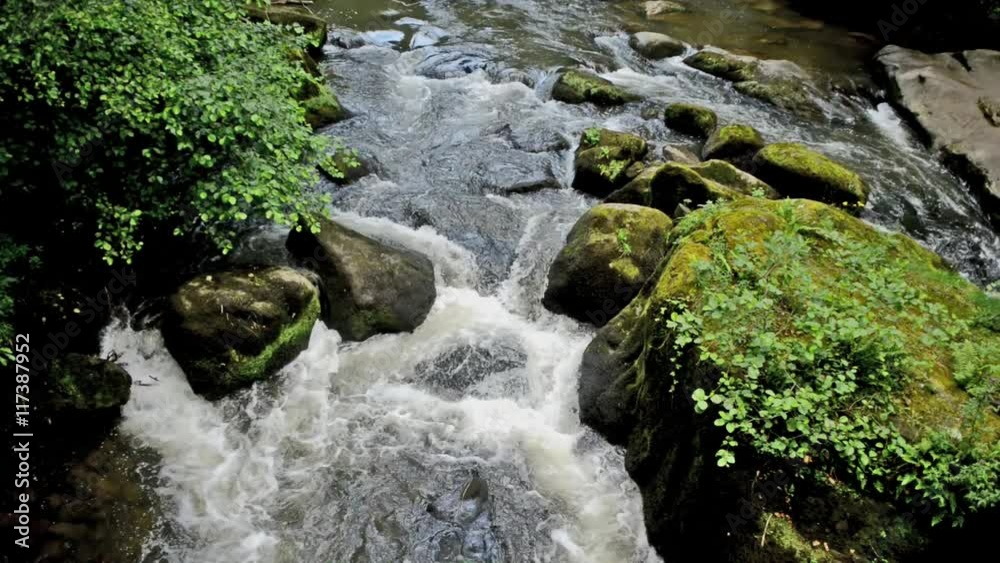 Wild river aerial with natural vegetation and stones Wild river aerial with natural vegetation and stones