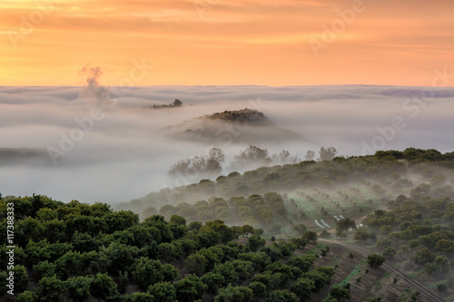 Irvine CA Morning Fog photo