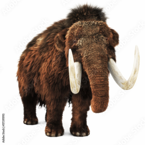 Konstfotografi Woolly Mammoth on an isolated white background. 3d rendering