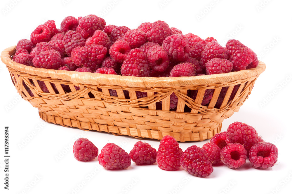 raspberries spilled from a wicker basket isolated raspberries spilled from a wicker basket isolated