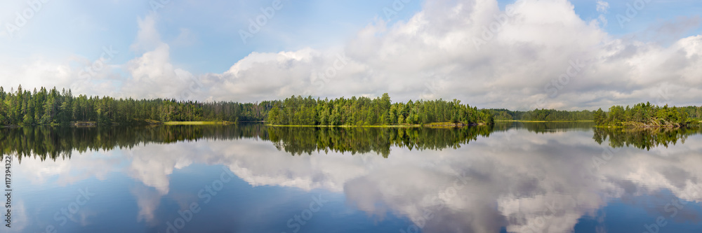 summer landscape with reflections