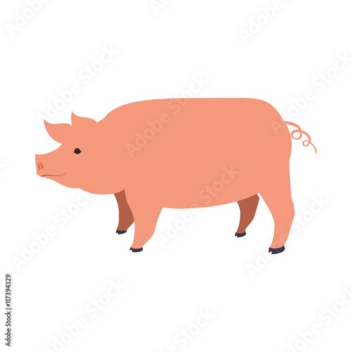 Pig animal farm pet character icon. Isolated and flat illustration. Vector graphic