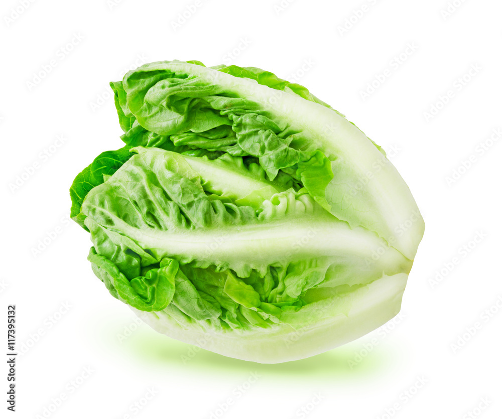 Lettuce salad isolated on a white background. Design element for product label, catalog print, web use. Lettuce salad isolated on a white background. Design element for product label, catalog print, web use.