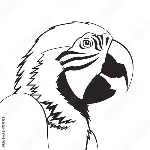 flat design parrot drawing icon vector illustration