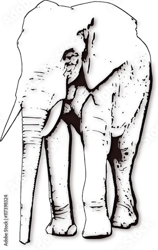 Afrikanischer Elefant. Vektor Grafik