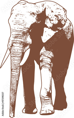 Afrikanischer Elefant. Vektor Grafik