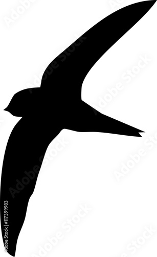 Silhouette of flying swift