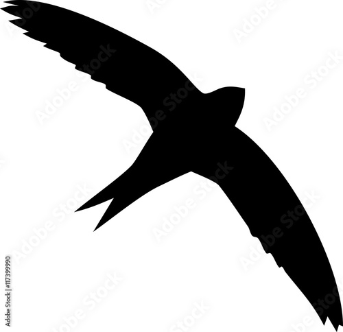 Silhouette of flying swift