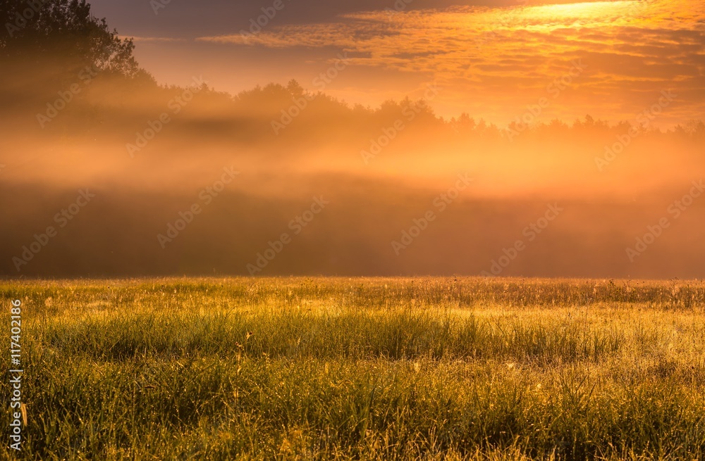 Mysterious and hazy meadow landscape photographed in Poland