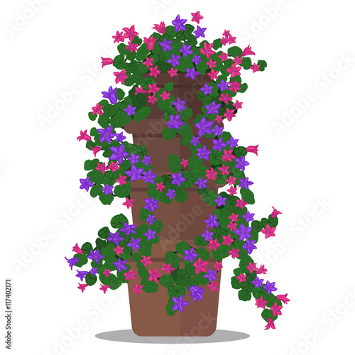 Vector illustration of floral arrangement in pot