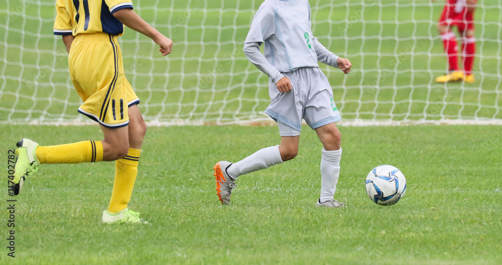 Fototapeta premium サッカー フットボール