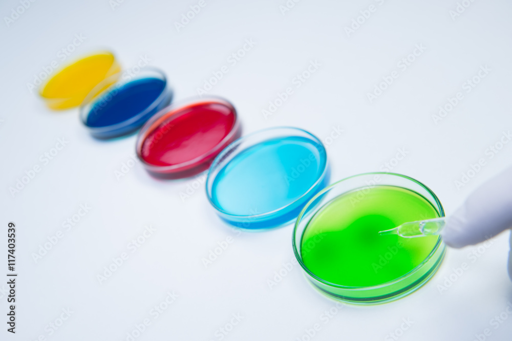 Pipetting coloured liquid into petri dishes Pipetting coloured liquid into petri dishes