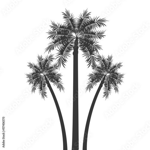 flat design palm tree icon vector illustration