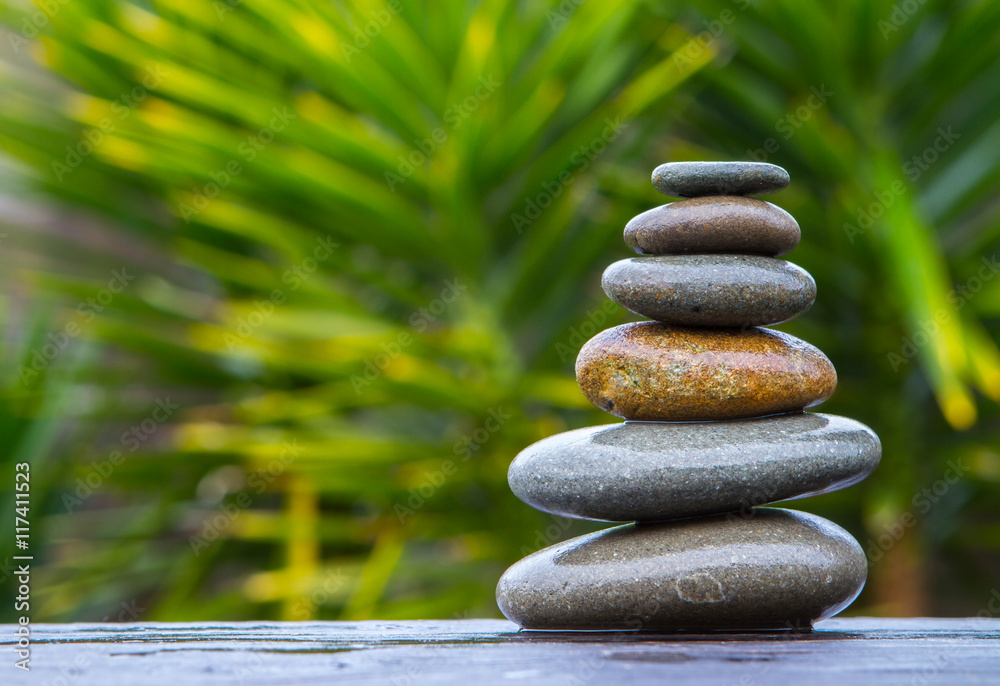 stack of round smooth wet pebbles balanced in front of a yucca stack of round smooth wet pebbles balanced in front of a yucca