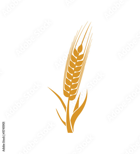 wheat ears food plant agriculture icon. Isolated and flat illustration. Vector graphic