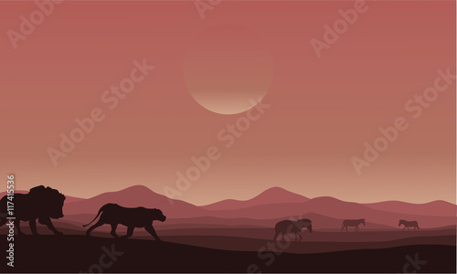 Silhouette of lion family in desert