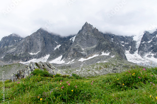 Aiguile du Chardonnet of Mont Blanc