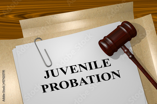 Juvenile Probation - legal concept photo