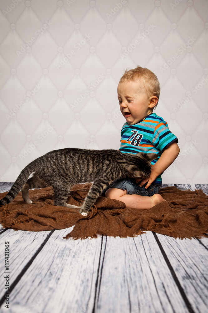 Katze kratzt StockFoto Adobe Stock