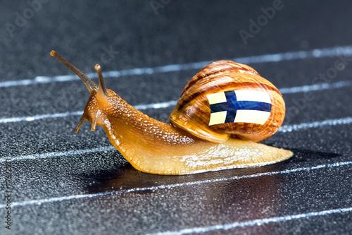 Snail under flag of Finland on sports track