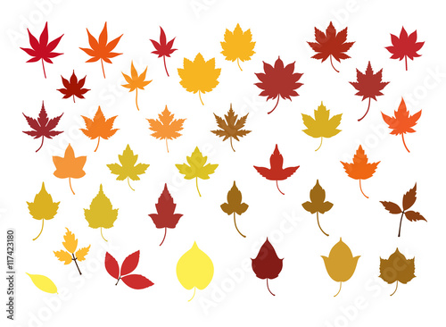 紅葉の葉