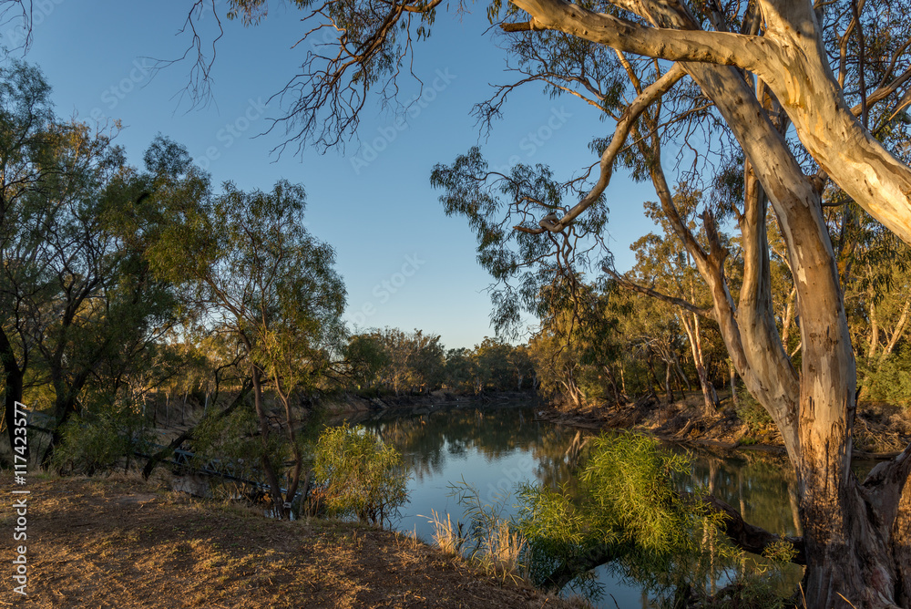 Fototapeta premium On the Murray River early morning