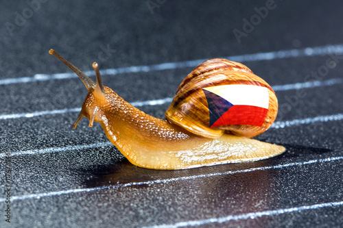 Snail under flag Czech Republic on sports track