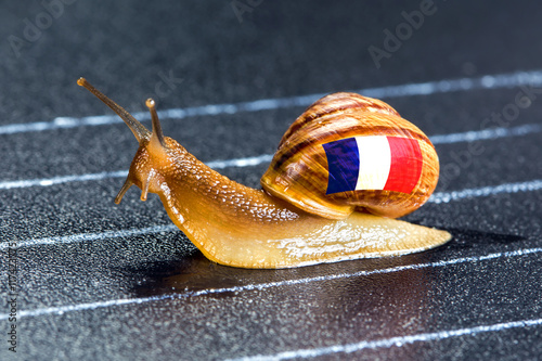 Snail under flag of France on sports track