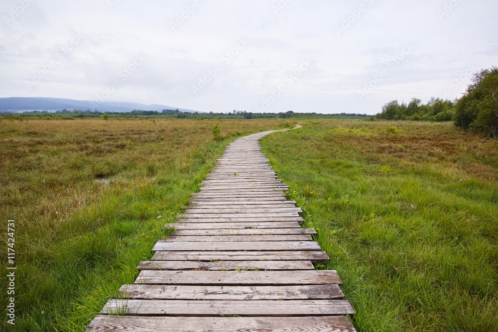 Holzpfad durch das Hochmoor