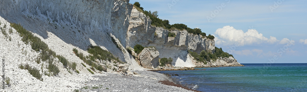 Fototapeta premium Stevns Cliff, Denmark