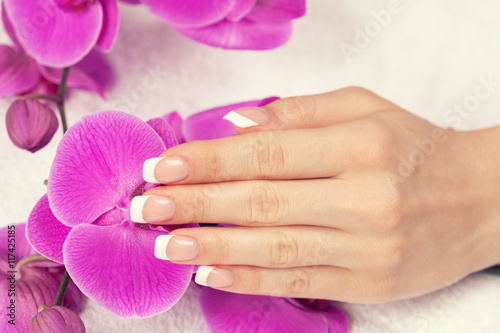 Beautiful female hand with french manicure on purple orchid flowers