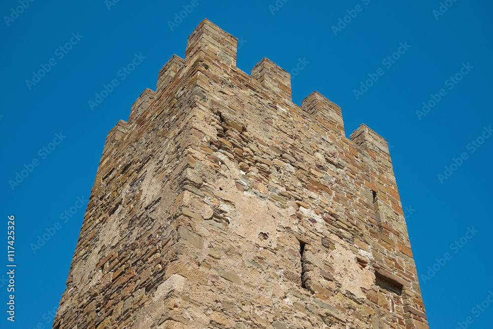 The ancient fortress tower