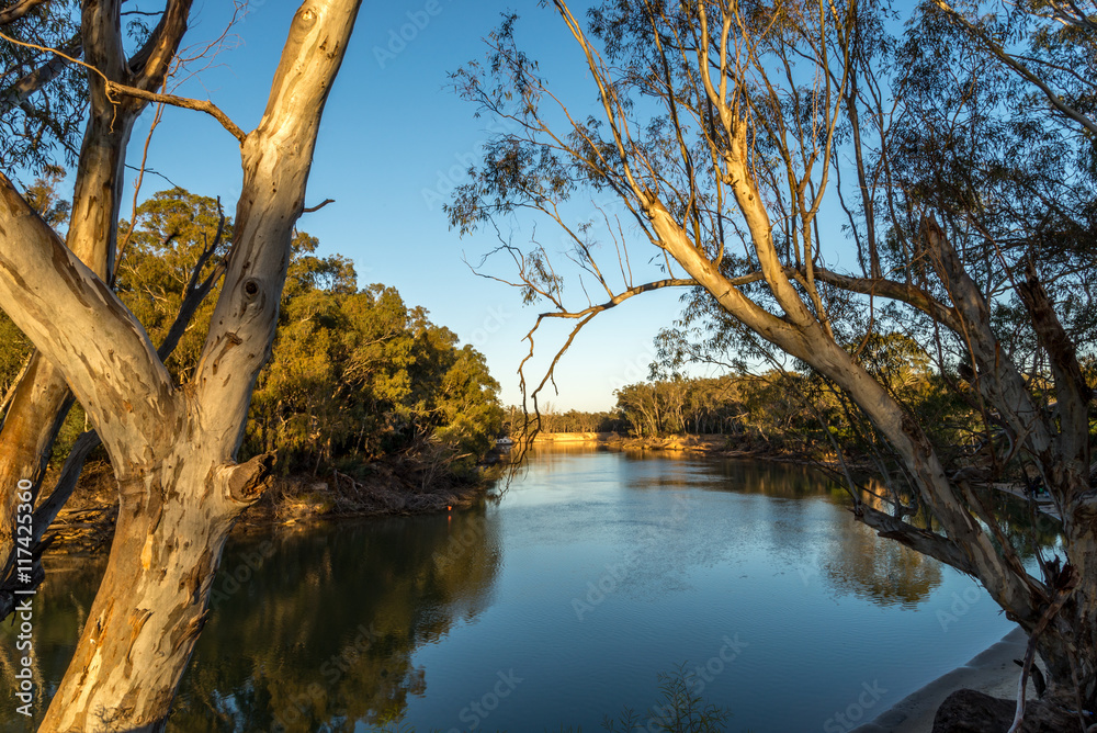 Obraz premium On the Murray River early morning
