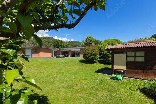 Fototapeta Naklejka Na Ścianę i Meble -  house with garden