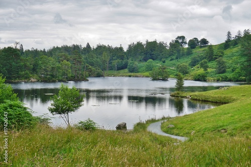Tarn Hows, a picturesque outdoor area in the Lake District in Cumbria, England