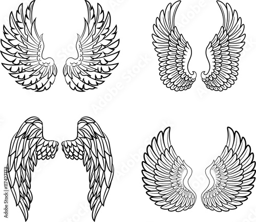 Cartoon angel wings collection set