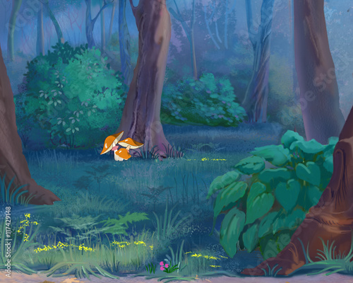 Mushrooms in a Forest