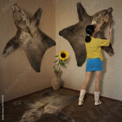 Galya and bears. A girl is fixing a bearskin to a wall.  photo