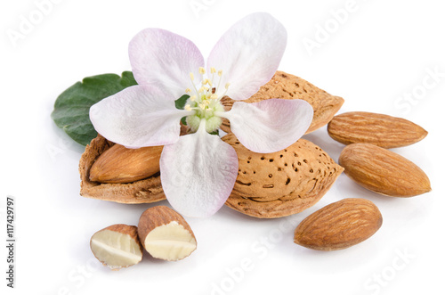Almonds with leaves and flower close up on the white background