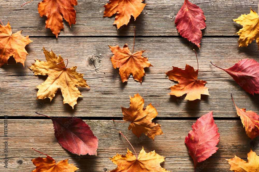 Autumn maple leaves over wooden background Autumn maple leaves over wooden background