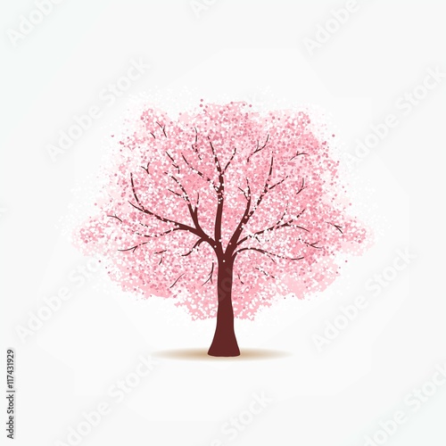 Cherry tree
