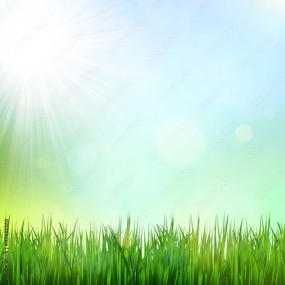 Naklejka Green grass background with sunshine