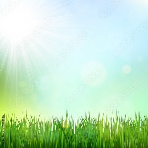 Fototapeta Naklejka Na Ścianę i Meble -  Green grass background with sunshine