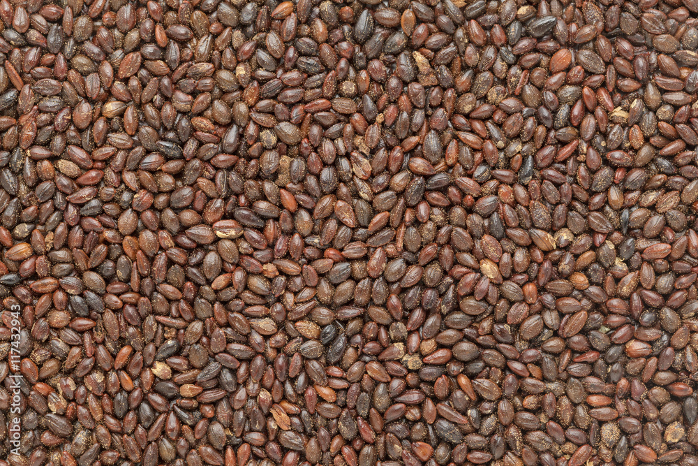 Organic Elaeagnaceae or deciduous shrub (Hippophae rhamnoides) seeds. Macro closeup background texture. Top View. Organic Elaeagnaceae or deciduous shrub (Hippophae rhamnoides) seeds. Macro closeup background texture. Top View.