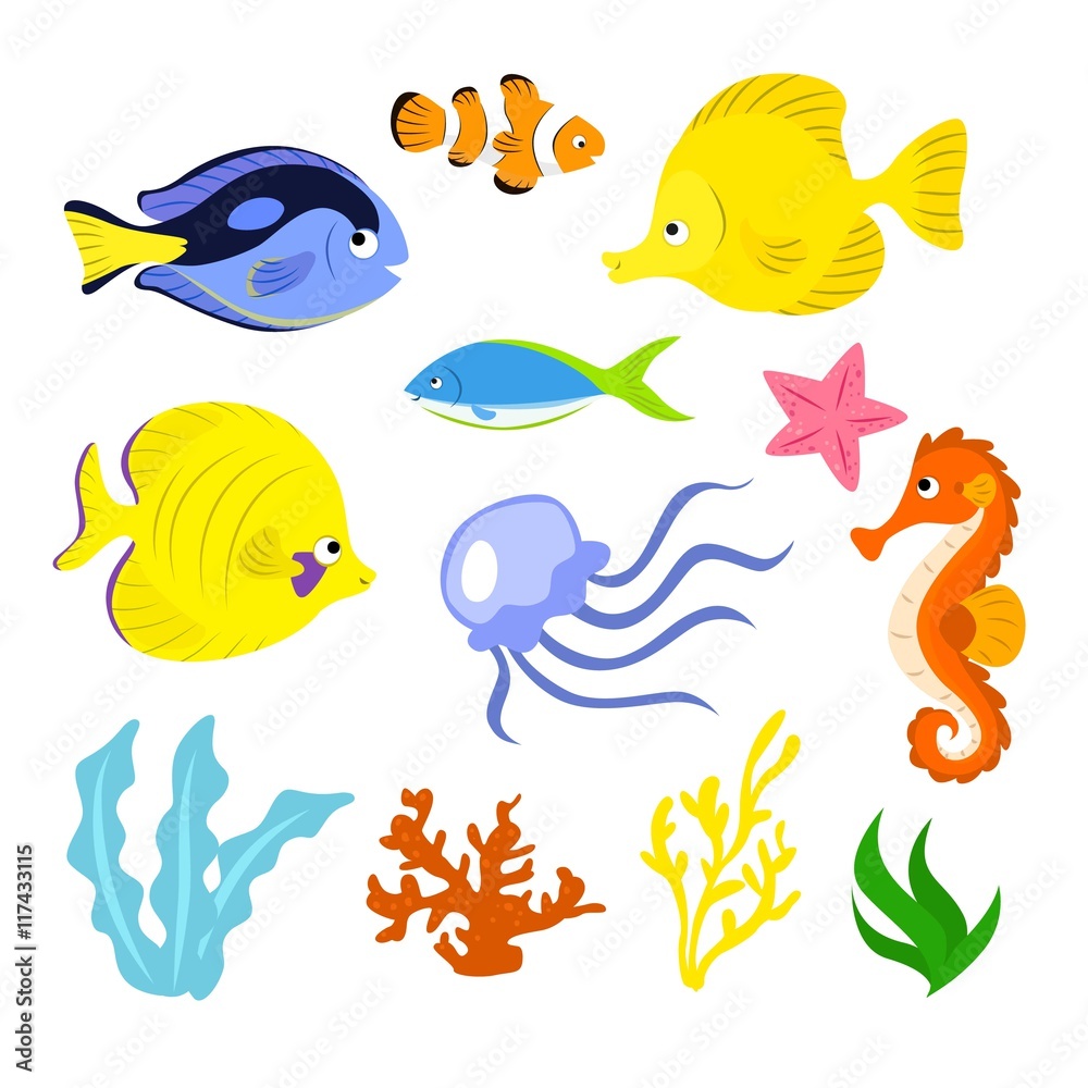 Sea life illustration Sea life illustration